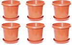 Blessed Plain Plant Container Set