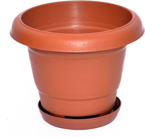Blessed Ring Plant Container Set