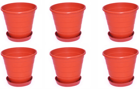 Blessed Ring Plant Container Set