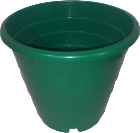 Blessed Ring Plant Container Set