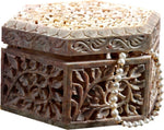 Aapno Rajasthan Lovely Jewellery Vanity Jewellery