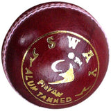 SM Sway Cricket Ball -   Size: 5,  Diameter: 2.5 cm