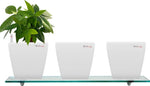 Yuccabe Italia Combo for 3 Stella White Self Watering planter Plant Container Set