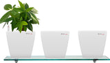 Yuccabe Italia Combo for 3 Stella White Self Watering planter Plant Container Set