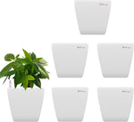Yuccabe Italia Stella White Self Watering Plant Container Set