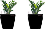 Yuccabe Italia Plant Container Set
