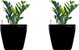 Yuccabe Italia Plant Container Set