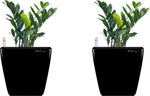 Yuccabe Italia Plant Container Set