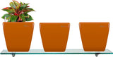 Yuccabe Italia Combo for 3 Stella Orange Self Watering planter Plant Container Set