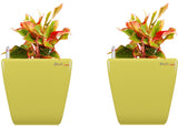Yuccabe Italia Plant Container Set