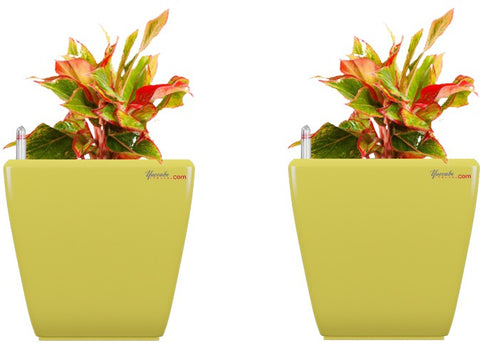 Yuccabe Italia Plant Container Set