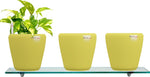 Yuccabe Italia Combo for 3 Stella Yellow Self Watering planter Plant Container Set
