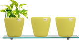 Yuccabe Italia Combo for 3 Stella Yellow Self Watering planter Plant Container Set
