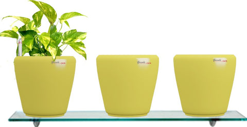 Yuccabe Italia Combo for 3 Stoic Yellow Self Watering planter Plant Container Set