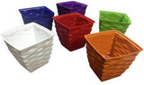 Toygully Plant Container Set