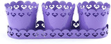 ShellysTrends Planters Plant Container Set