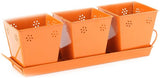 ShellysTrends Planters Plant Container Set