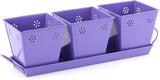 ShellysTrends Planters Plant Container Set