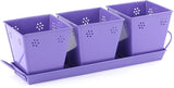 ShellysTrends Planters Plant Container Set