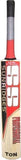 SS Ton Professional English Willow Cricket  Bat