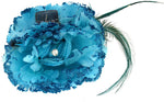 Anuradha Art ZBF-263 Hair Clip