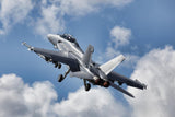 Super Hornet Fighter Aircraft Poster Paper Print