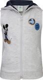 Disney Printed Baby Boy's Hooded Grey T-Shirt