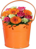 Super Drool Designer Plant Container Set