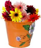 Super Drool Floral Plant Container Set