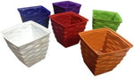 VGreen Plant Container Set