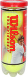 Wilson Championship Extra Duty Tennis Ball