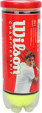 Wilson Championship Extra Duty Tennis Ball
