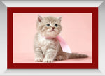 Wallmantra Cute Kitty Framed Print Canvas Painting