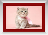 Wallmantra Cute Kitty Framed Print Canvas Painting