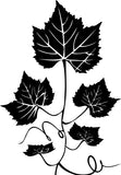 Wallmantra Extra Large Vinyl Stickers Sticker