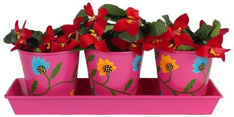 Wonderland Plant Container Set