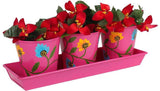 Wonderland Plant Container Set