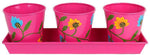 Wonderland Plant Container Set