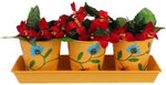 Wonderland Plant Container Set
