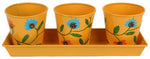 Wonderland Plant Container Set