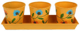 Wonderland Plant Container Set