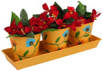 Wonderland Plant Container Set