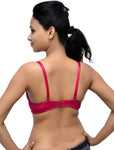 Wolfie RibbonMaroon118 Women's Push-up Bra