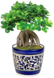 Craftghar Blue Pottery Ceramic Plant Container Set